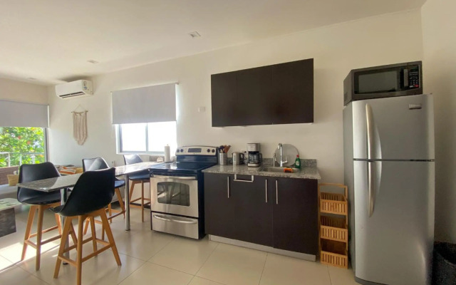 BEACHFRONT APARTMENT Vistas de Bejuco