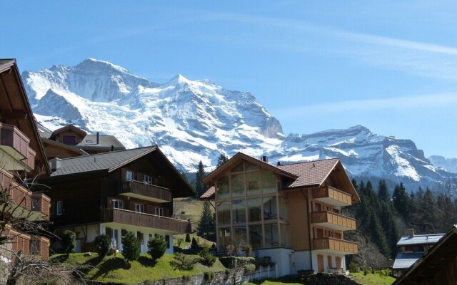 Chalet Am Acher 3