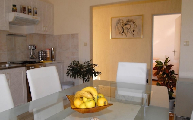 Apartment Ante - with large terrace : A1 Primosten, Riviera Sibenik