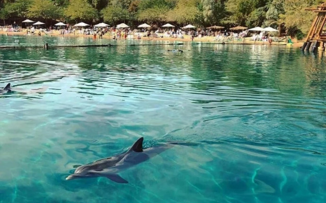 Sahara Hotel Eilat
