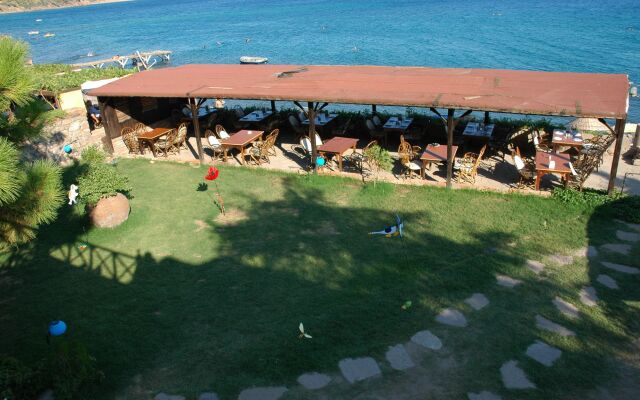 Aristo Pension