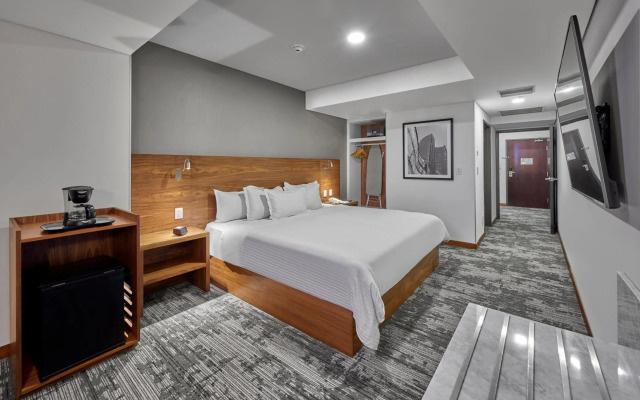 Hilton Garden Inn Mexico City Polanco