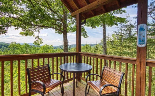 A Smoky Mountain Dream 291
