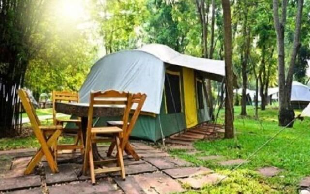 Dikili Papaya Evleri Tatil Koyu