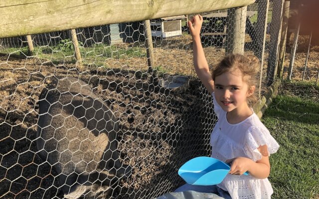 Willow Court Farm