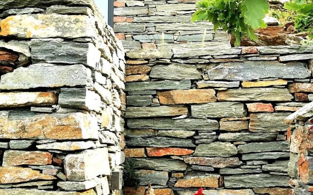 Agrikea Farm Stay Kea