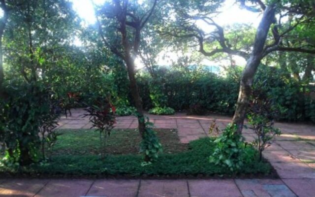Hotel Shree Paradise