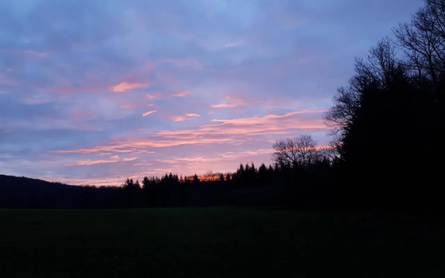 Hébergements Insolites en cabanes