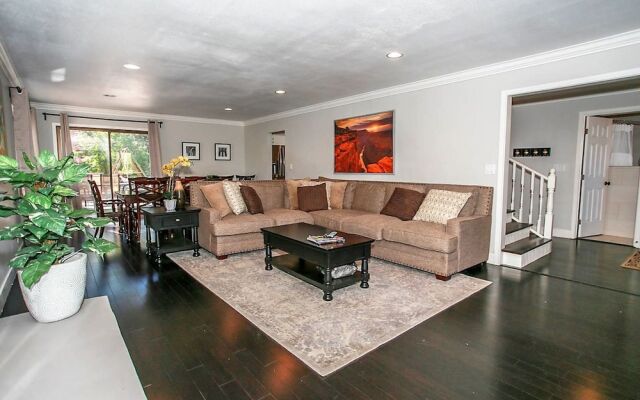 Bluebird Bear 1549 by RedAwning