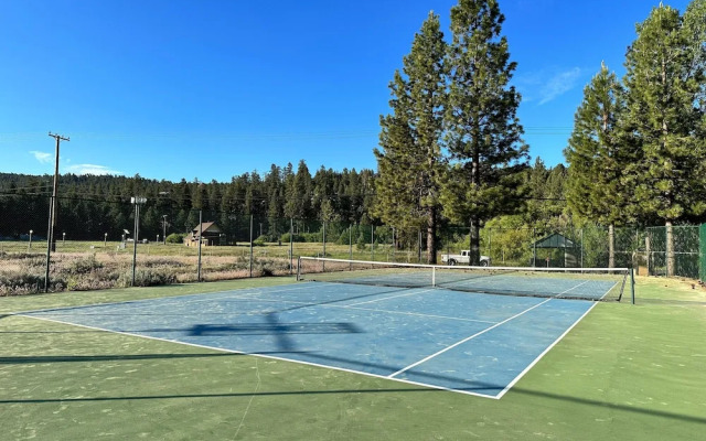 THE Bigbear Bear House #2469