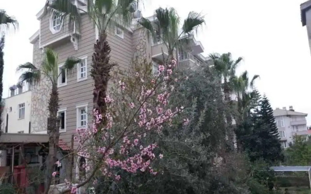 Nergiz Apartments