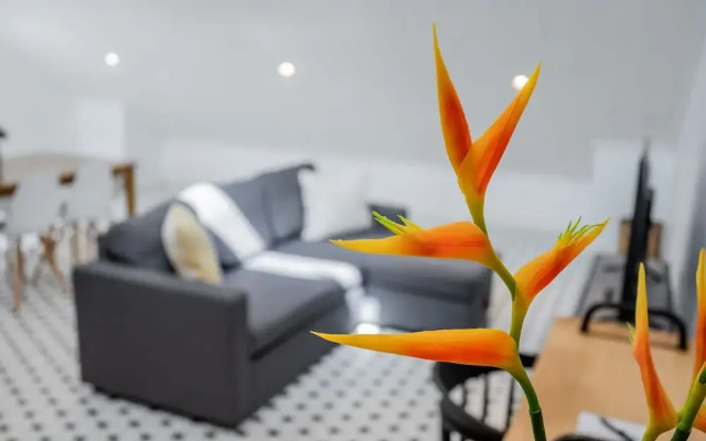 w Perfect Loft in Plaza Catedral