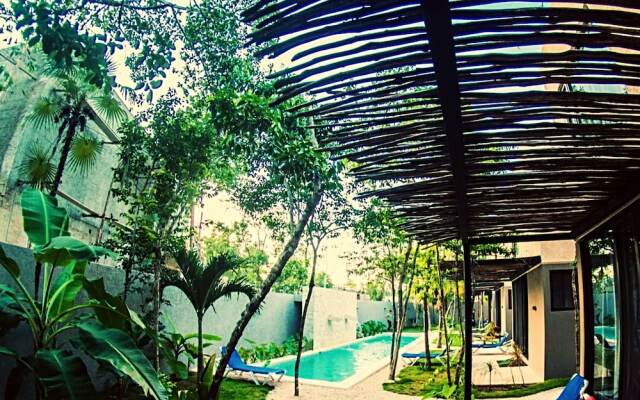 Casa Harmony