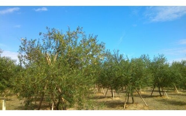 Amakusa Onsen Hotel Shikisakikan