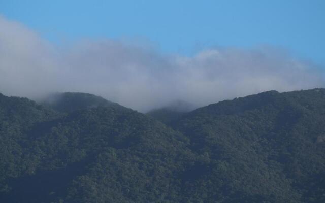 Mossman Gorge Bed and Breakfast