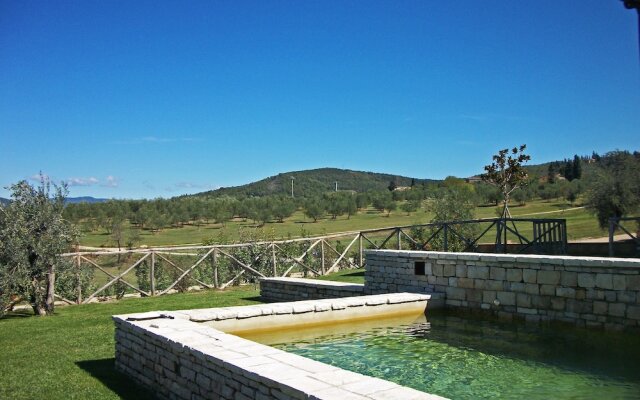 Villa Oliveto - Five Bedroom Home