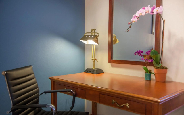Federal City Inn & Suites