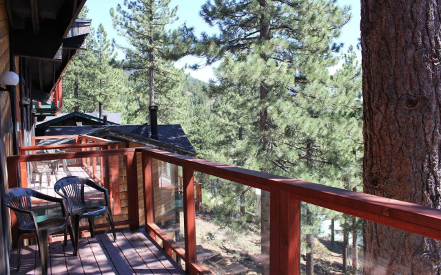 Tahoe Chaparral