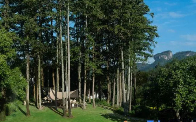 Wuyishan Rongjingshu Hotel