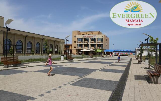 Evergreen Vlas Mamaia
