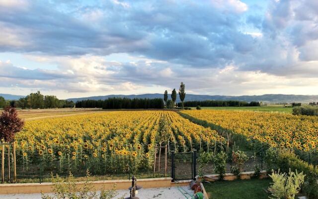 Il Podere di Francesco