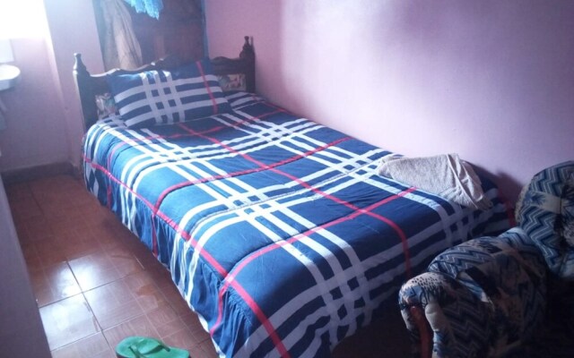 Safari Lodge