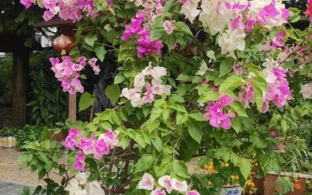 Fuchun Dalingtu Resort