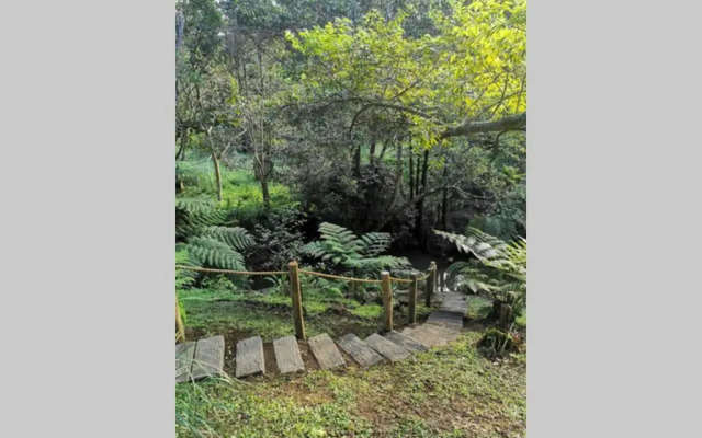 Nature Lovers Paradise