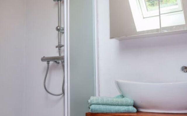 Les Hortensias (PZV107)