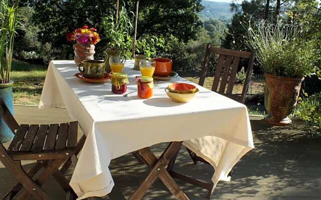 Une Ronce sous le Figuier