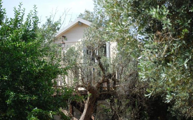 Palazzo Conforti Tree House Resort
