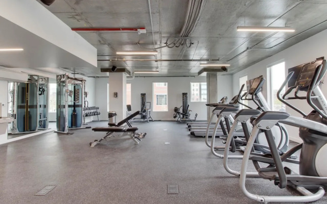 Stay Alfred at The Fowler