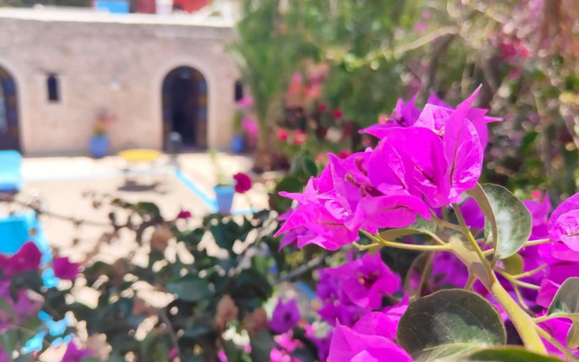 Riad Eucalyptus by Caravanserail