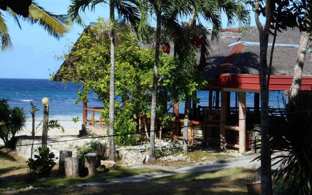 Toris Paradise
