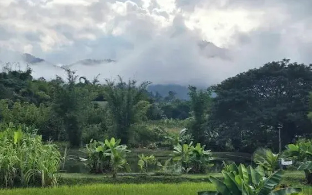 Zuu Tee Organic Farm & Roastery