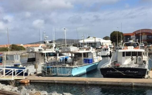 The Shark Apartments 2