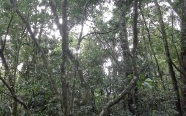 The Green Tree Lodge
