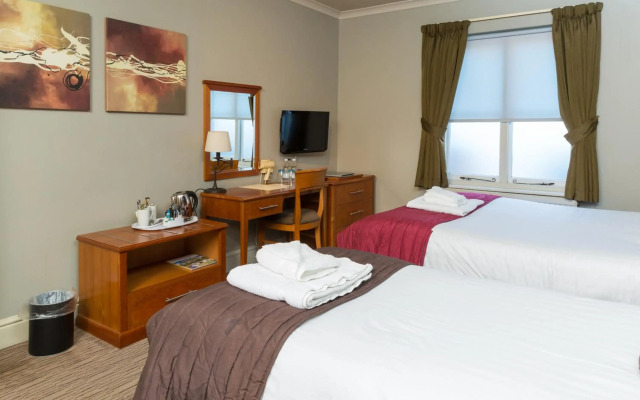 Dog & Bear Hotel