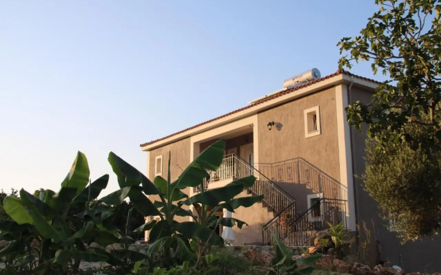 Nikoleta's Studios