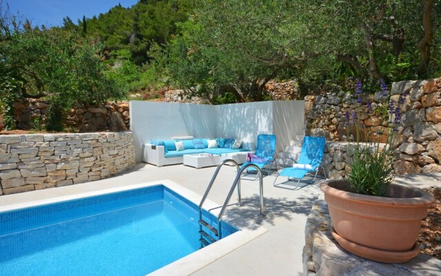 Villa Olive Tree