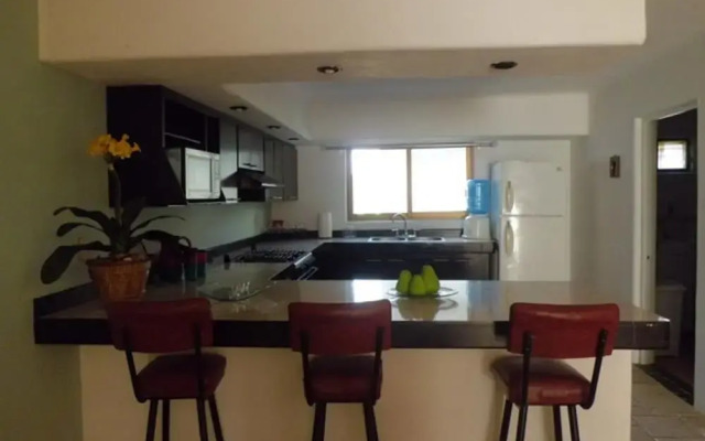Condo P Iguana