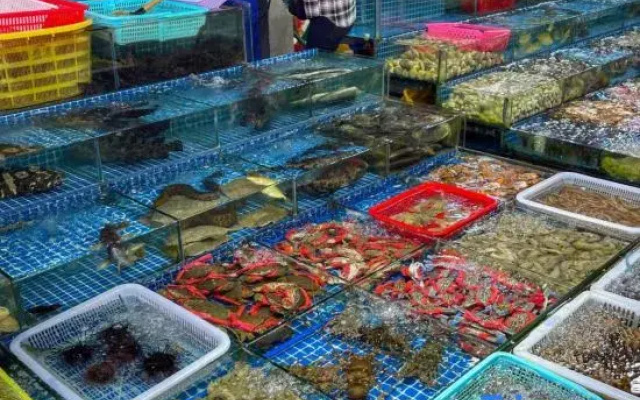 Huizhou Daya Bay Hailan Bay Homestay