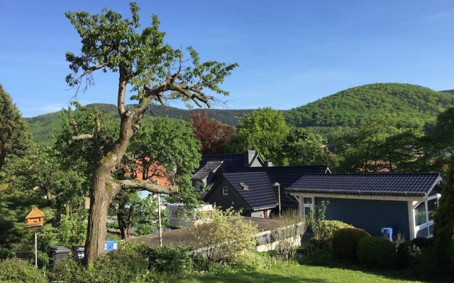 Attractive Holiday Home in Bad Harzburg With Garden