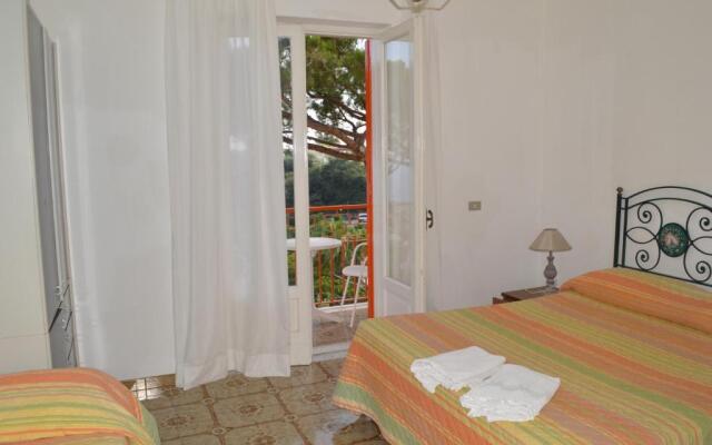Hotel Polito