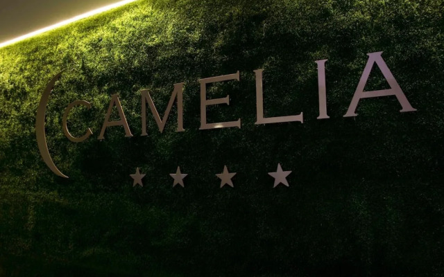 Hotel Camelia