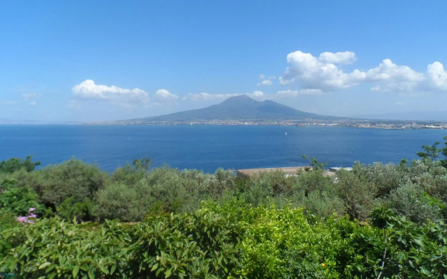 Ancelle Sorrento