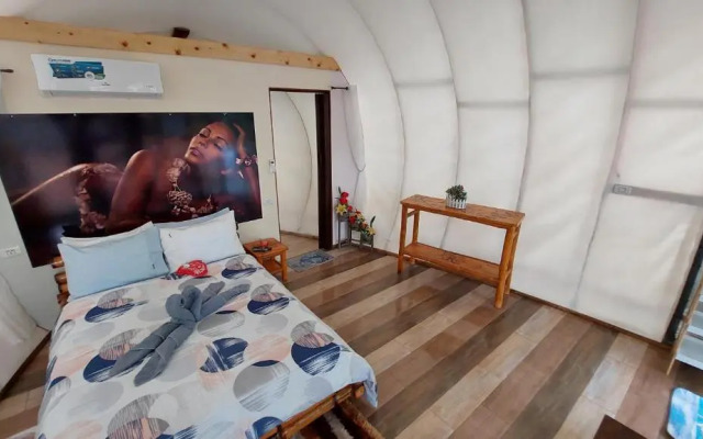 Shenanigans Glamping Resort