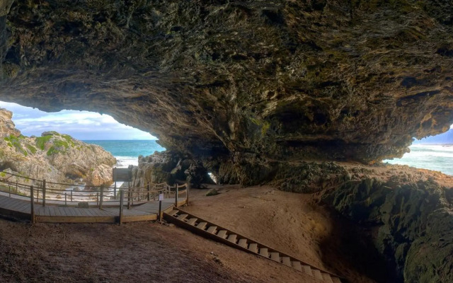 Sea Star Cliff
