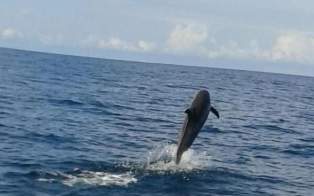 Hostal La Vieja Panaderia & Ristorant