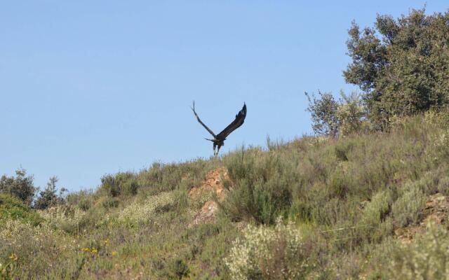 Hospederia Rural Aldeaduero